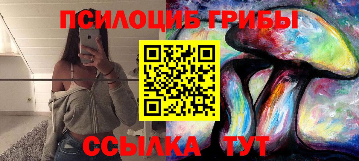 Кохма  Псилоцибиновые грибы Psilocybe  закладки  Вход с VPN 